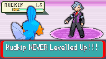 Can I Beat Pokemon Sapphire WITHOUT Levelling?