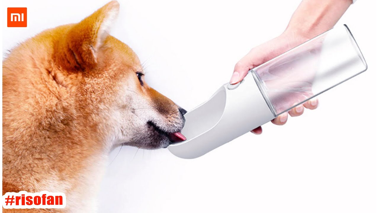 petkit water bottle
