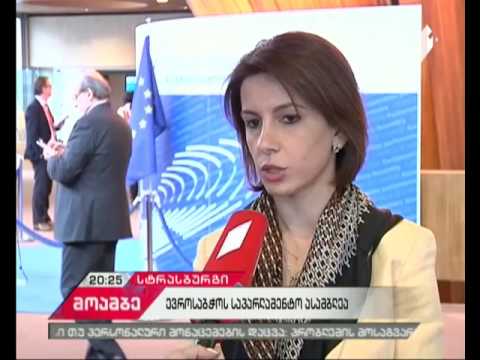 საქართველოს დელეგაციის წევრების შეხვედრები სტრასბურგში