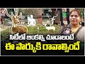 Deer Park In Vanasthalipuram | Mahavir Harina Vanasthali National Park Attracts Public | V6 News