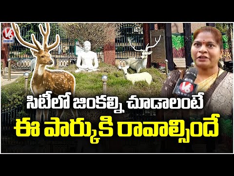 Deer Park In Vanasthalipuram | Mahavir Harina Vanasthali National Park Attracts Public | V6 News - V6NEWSTELUGU