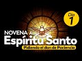 Novena al Espíritu Santo DIA 1, Preparación a Pentecostés, pidiendo el don de paciencia.