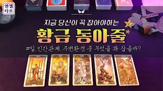 [타로]지금 꼭 잡아야하는 황금동아줄😲👏🏻 | 3개월 안의 묘수☝🏻