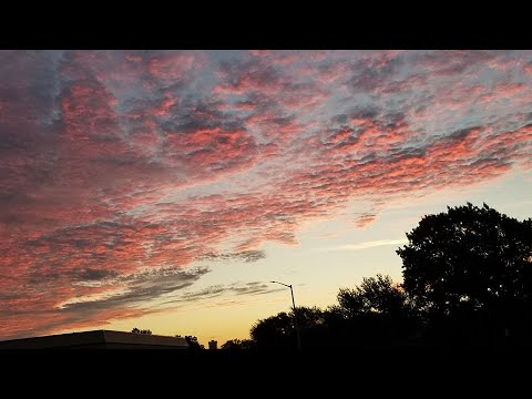 Ludovico Einaudi plays Due Tramonti (Two Sunsets) - Huong Thu Le Flutist