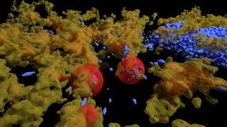 Flight To Sun Without Hot Stars Or Ysos