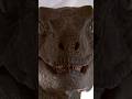 Obscure Jurassic Facts 20 The Big One 