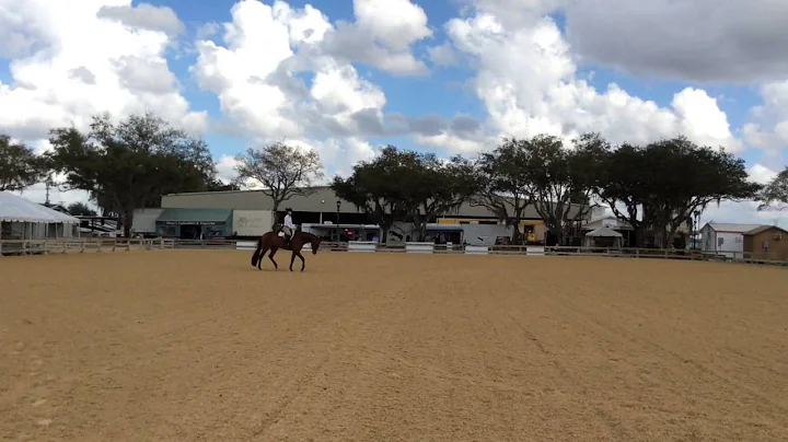 Ride the Pattern with Stephanie Lynn -- hunt seat ...
