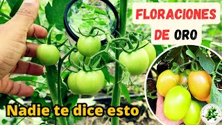 Como tener mas flores de lo normal y que usar - HORTALIZAS