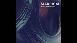 Ontic & Joaquim Plossu * Madrigal