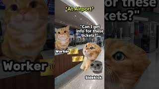 Cat Memes Random Superpower ...