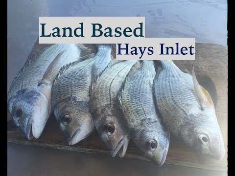 Βίντεο: Μυστικά αλιείας: DIY Bait For Bream