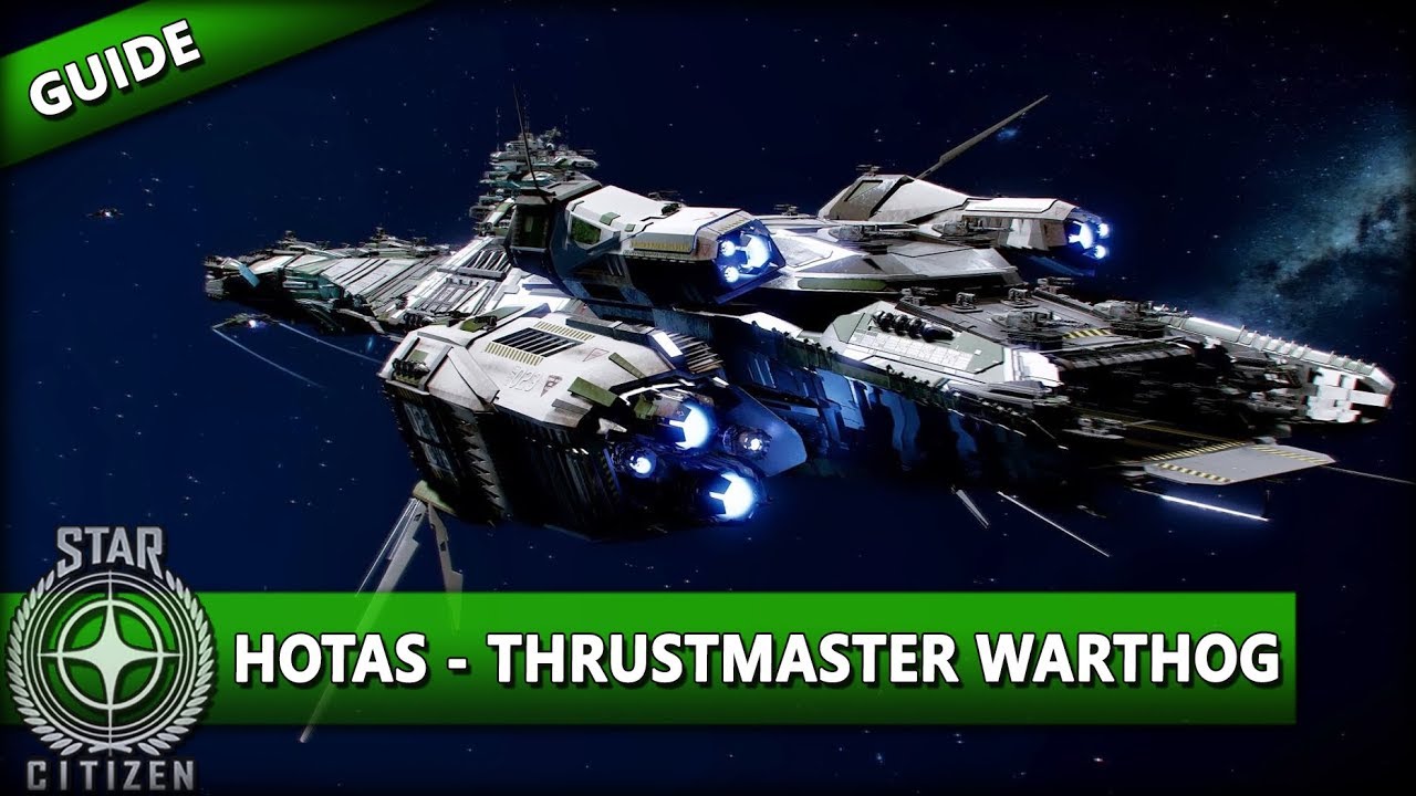 STAR CITIZEN 3.8 [GUIDE] ⭐ HOTAS GUIDE THRUSTMASTER WARTHOG Star
