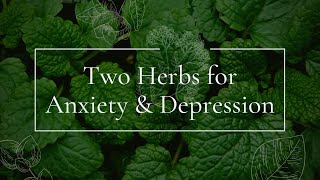 Two Herbs for Depression & Anxiety