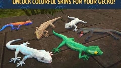 ►Gecko Simulator 3D - Android HD Gameplay