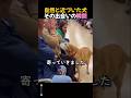犬と人が安心できる出会いの時間
