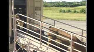 10 Portable Chutes
