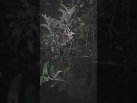 ثانوية عامة ٢٠٢١ متنسوش اللايك والاشتراك في القناة والشير