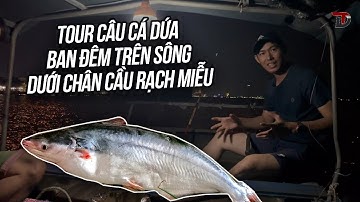 Vlog 3: Trải nghiệm câu cá Dứa giữa dòng sông dưới chân cầu Rạch Miễu | Đồng Đi Đâu?