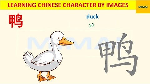 [99] #鸭  #ya #duck  how to write Chinese character by images #HSK1 #mimaichinese