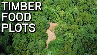 Timber Food Plots | Establishing New food Plots In Big Timber