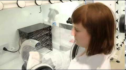 SCI-tive Dual - Entering Dual LH Chamber