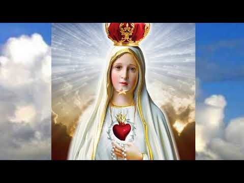 Video: Dâng mình cho Mẹ Maria có ý nghĩa gì?