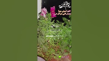 #قران_كريم #اكسبلور #حالات_واتس #سورة الكهف