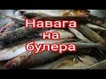 Приморский край .Рыбалка на Майхе. Навага на булера. В палатке. Full HD