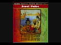 Steel Pulse - Prodigal Son