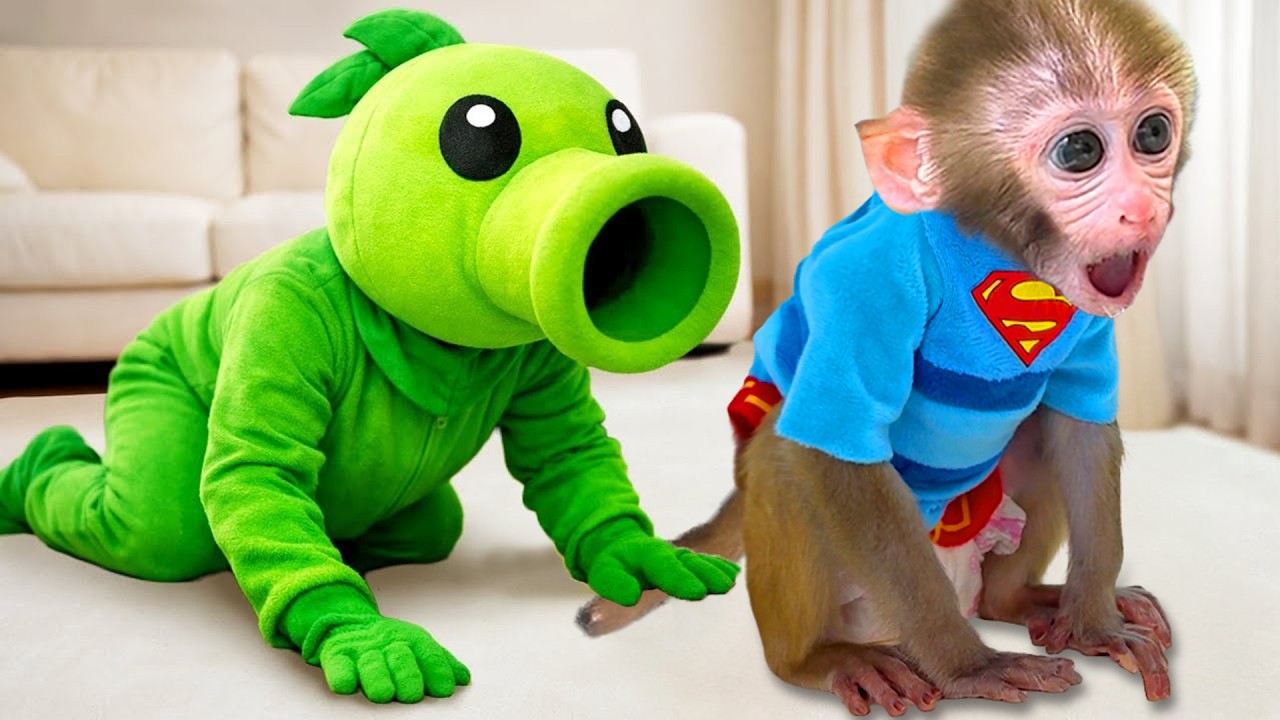 Monyet Bon Bon menyertai Fun Adventure dan minum jus buah pelangi