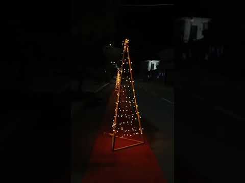 Τα Χριστουγεννιάτικα δέντρα στο κόκκινο χαλί που κλέβουν την παράσταση στην Εύβοια
