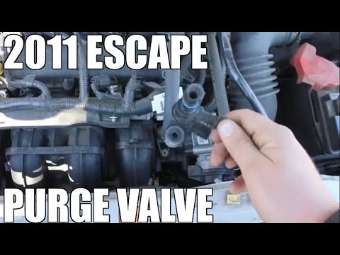 How to Change Ford Escape Purge Valve 2008-2012 - YouTube