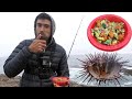 Urchin Diving for Seaside Snack of Uni Guacamole