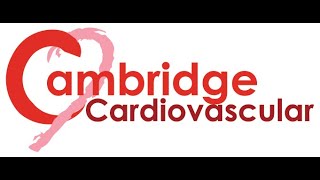 Cambridge Cardiovascular Seminar 'Development of virtual heart for the study of cardiac arrhythmias' screenshot 5