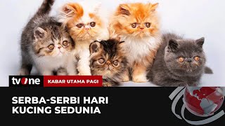 Download lagu Memperingati Hari Kucing Sedunia 8 Agustus | Kabar Utama Pagi tvOne