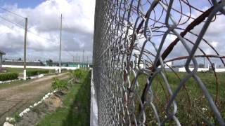 The Belize Central Prison & the Kolbe Foundation