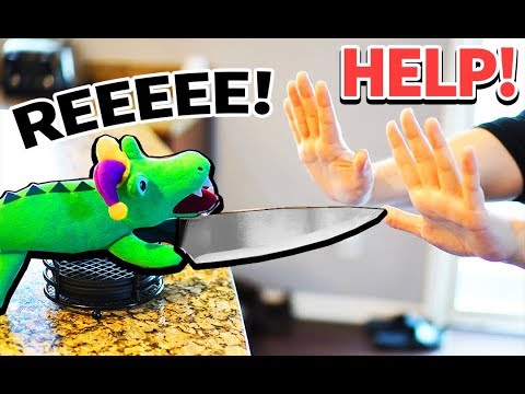 my-roblox-pet-came-to-my-house...