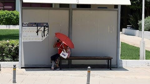 Why are heatwaves getting worse? An expert explains | REUTERS