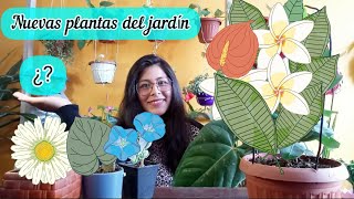 CONSEGUI UN ANTURIO SUPER GRANDE 😯/Y OTRAS PLANTAS HERMOSAS CON SUS IDENTIFICACIONES.