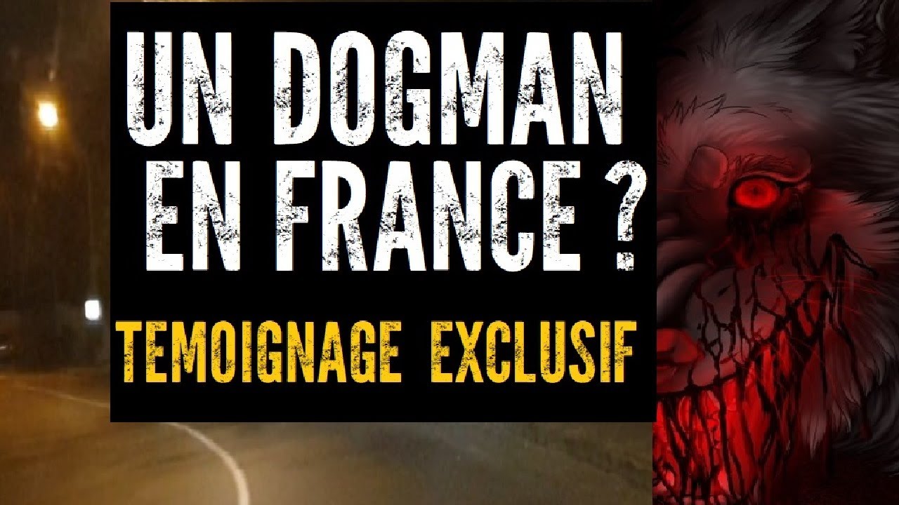 UN DOGMAN EN FRANCE PRS DE NICE   TMOIGNAGE EXCLUSIF