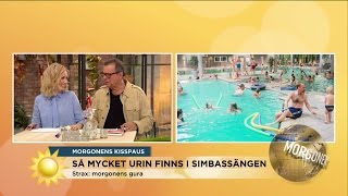 Så mycket urin finns i simbassängen - Nyhetsmorgon (TV4)