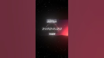 سورة الأنعام|95|القارئ:#محمد_اللحيدان #قران #quran  #قران_كريم #تلاوة #تلاوة_هادئة #آية #تلاوة_خاشعة