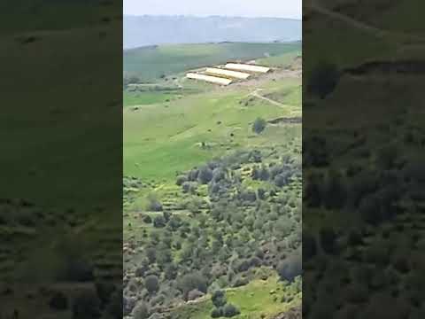 فصل الربيع في بلدية الميهوب