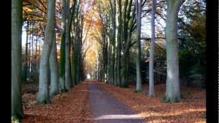 2012 Top Wandelroutes Heino Herfst