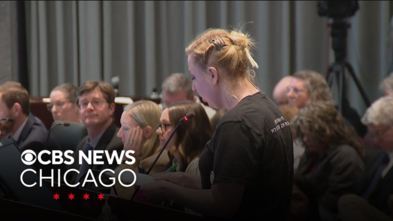 Naperville residents opposing potential data center pack city council meeting