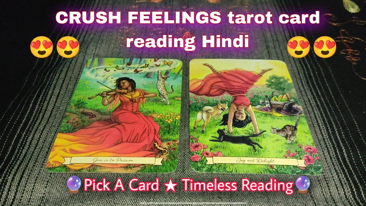 CURRENT FEELINGS of your CRUSH😍🔮 Timeless Tarot ★ Pick a Card Reading ...