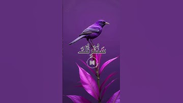 بأي إحساس يقرأ الشيخ محمود ❤️‍🩹 الشيخ محمود الشحات انور سورة الأعلى #قران_كريم #محمود_الشحات_أنور