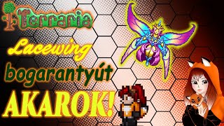 Lacewing bogarantyút akarok! - Terraria || AnaFox