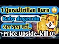 #Babydoge -🚀Kill zero!|♦️How to buy Babydoge coin in hindi |♦️New update of Babydoge |🤑Price goes up