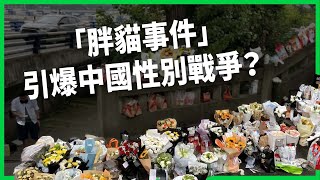 陪打遊戲賺百萬養女友慘遭分手！「胖貓事件」引爆中國性別戰爭？「撈女」滿街跑的背後原因？【TODAY 看世界】